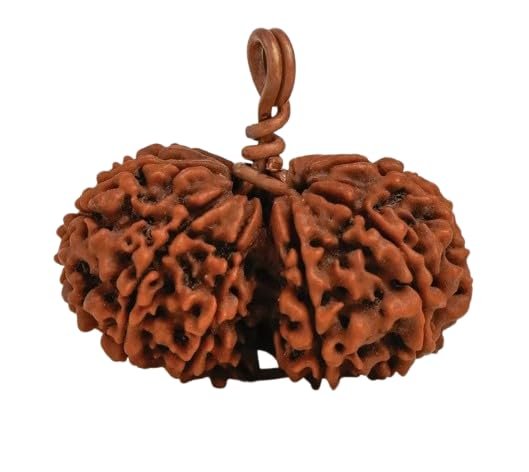Gauri Shankar Nepali Rudraksha